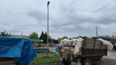 Manisa’nın Sarıgöl ilçesinde üreticiler, şaraplık ve ıskarta üzümlere alıcı bulamadıklarını,
