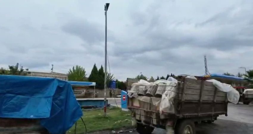 Sarıgöl’de üretici üzümünü satamıyor: “Bedavaya götür desen götüren yok” Manisa’nın Sarıgöl ilçesinde üreticiler, şaraplık ve ıskarta üzümlere alıcı bulamadıklarını,