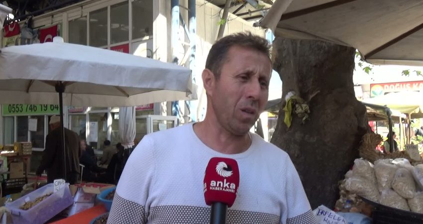 Sinop'un Erfelek ilçesinde yetişen kuzu kestanesinin fiyatları tezgahlarda 250 ila