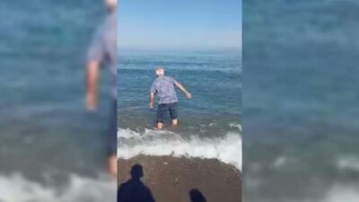 Sinop’un Türkeli ilçesine bağlı Güzelkent Mahallesi'nde kıyıya vuran yunusu fark