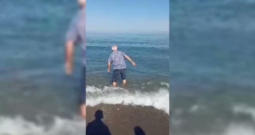 Sinop’ta kıyıya vuran yunus vatandaşın dikkati sayesinde kurtuldu Sinop’un Türkeli ilçesine bağlı Güzelkent Mahallesi'nde kıyıya vuran yunusu fark