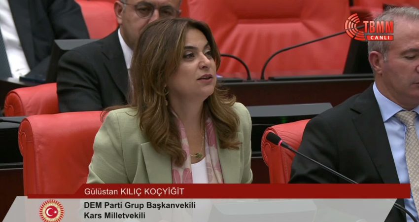 DEM Parti Grup Başkanvekili Gülistan Kılıç Koçyiğit, TBMM Genel Kurulu’nda fon