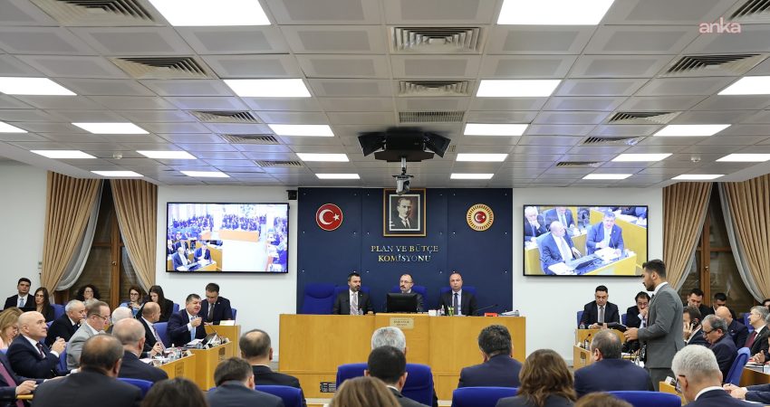 TBMM Plan ve Bütçe Komisyonu'nda görüşülen, Tasfiyesine Karar Verilen Bazı