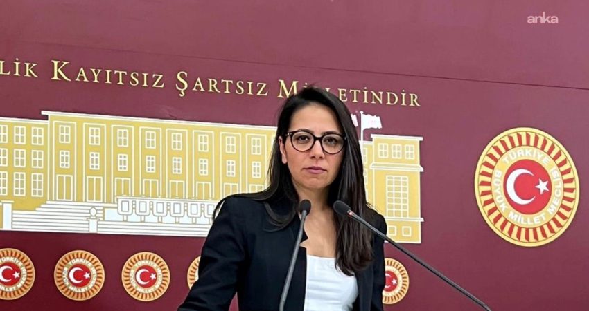 TİP’li Kadıgil, ANKA’nın İskenderun Devlet Hastanesi haberini TBMM gündemine taşıdı Türkiye İşçi Partisi İstanbul Milletvekili Sera Kadıgil, ANKA Haber Ajansı'nın