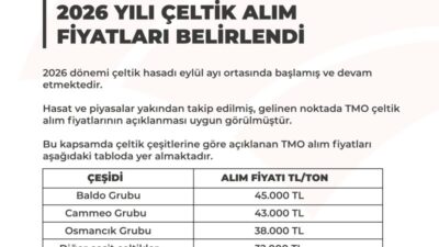 Tarım ve Orman Bakanlığı'na bağlı Toprak Mahsulleri Ofisi (TMO) baldo