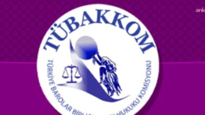 Türkiye Barolar Birliği Kadın Hukuku Komisyonu (TÜBAKKOM), Anayasa Mahkemesi’nin Türk
