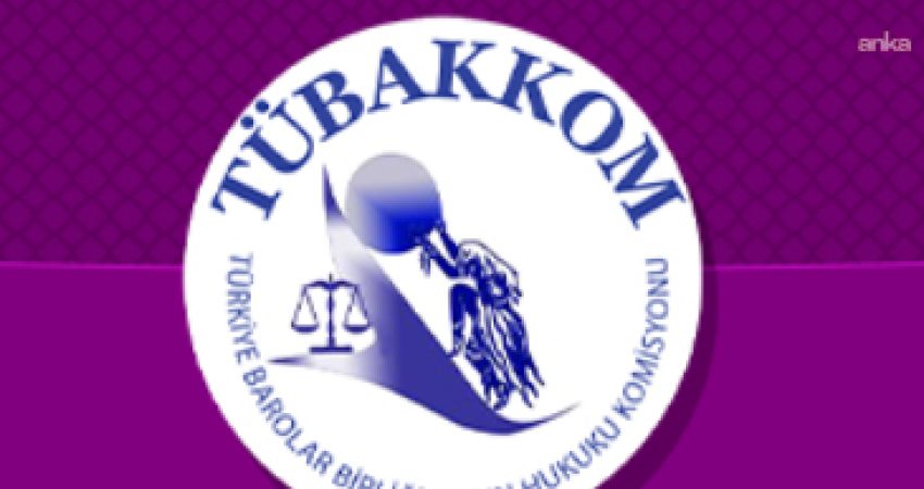 Türkiye Barolar Birliği Kadın Hukuku Komisyonu (TÜBAKKOM), Anayasa Mahkemesi’nin Türk