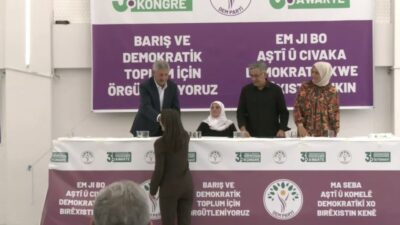 DEM Parti Eş Genel Başkanı Tülay Hatimoğulları, Kürt sorununun çözümüne