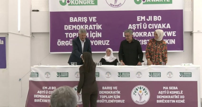 DEM Parti Eş Genel Başkanı Tülay Hatimoğulları, Kürt sorununun çözümüne