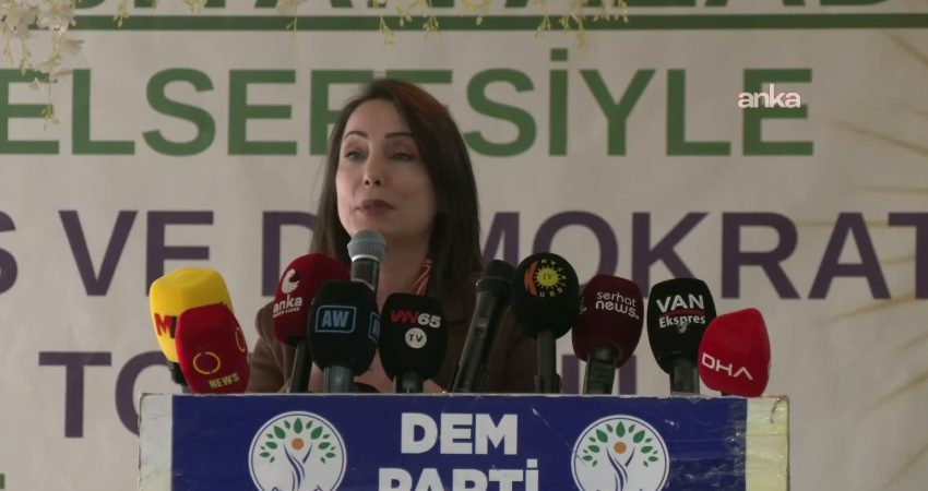 DEM Parti Eş Genel Başkan Tülay Hatimoğulları, partisinin Van 3.