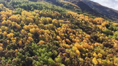 Tunceli Pülümür Vadisi’nde yapımı devam eden yüksek gerilim hattı çalışmaları
