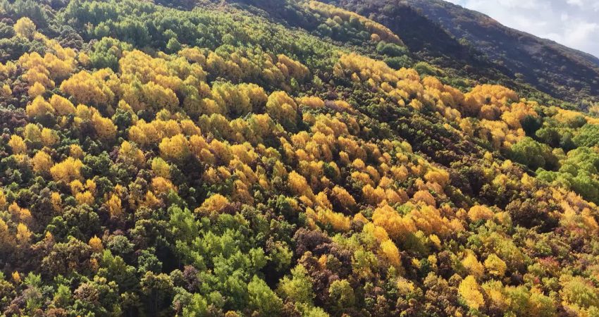 Tunceli Pülümür Vadisi’nde yapımı devam eden yüksek gerilim hattı çalışmaları