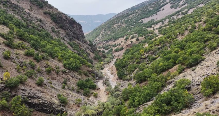 Tunceli’nin Çıralı Köyü’ne bağlı Dere Ali Mezrası'nda evler ilk kez