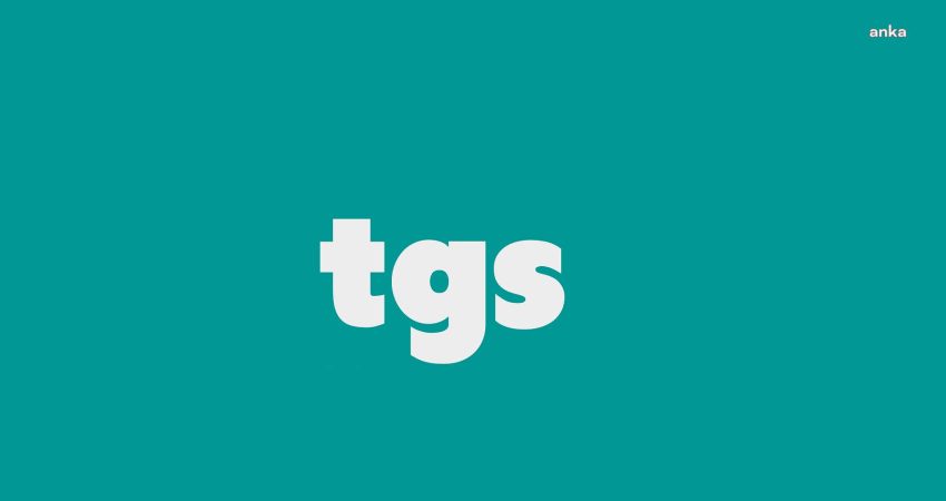 Türkiye Gazeteciler Sendikası (TGS), gazeteci İsmail Arı'nın serbest bırakılmasını istedi,
