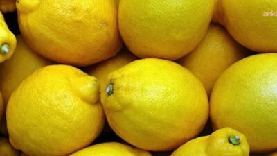 Türkiye Ziraat Odaları Birliği'nin (TZOB) ekim ayı raporuna göre, üretici