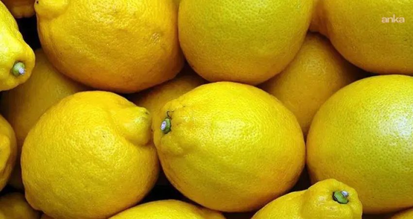 Türkiye Ziraat Odaları Birliği'nin (TZOB) ekim ayı raporuna göre, üretici