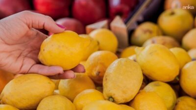 Türkiye Ziraat Odaları Birliği (TZOB) eylülde üretici ile market arasındaki