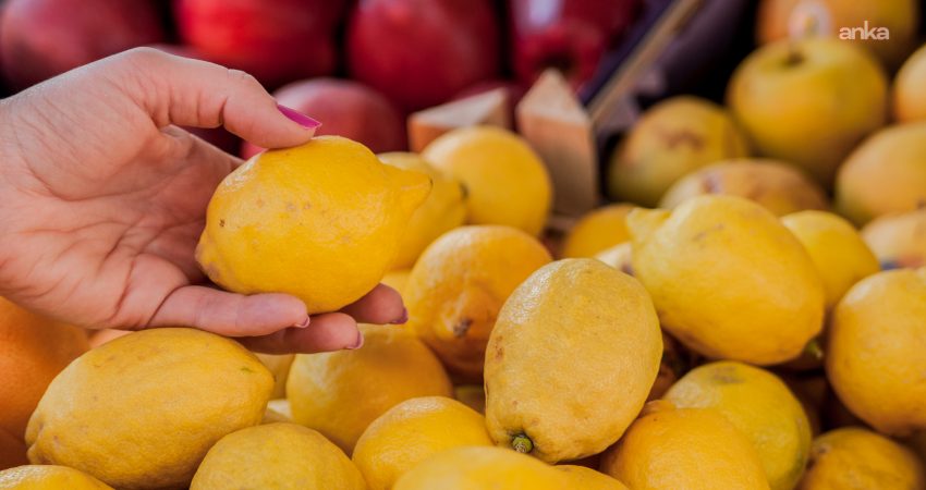 Türkiye Ziraat Odaları Birliği (TZOB) eylülde üretici ile market arasındaki
