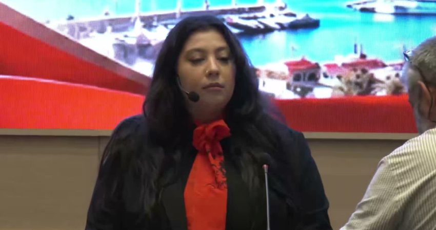 Zafer Partisi Genel Başkanı Ümit Özdağ, Türkiye, Suudi Arabistan ve