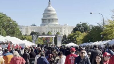 Washington'da düzenlenen geleneksel Türk Festivali'ne Azerbaycan'ın Bağımsızlığının Yeniden Sağlanması Günü'ne