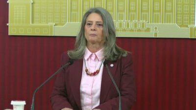 YENİ Parti Trabzon Milletvekili Sibel Suiçmez, yaklaşık 20 yıldır 10 sanat