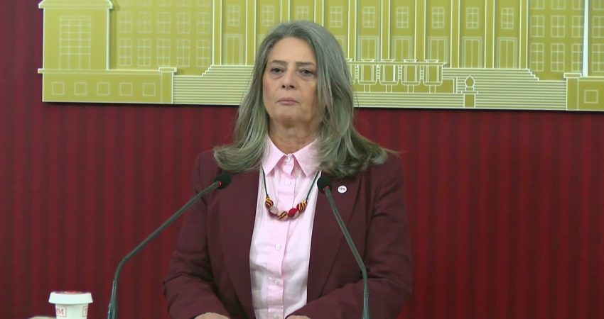 YENİ Parti Trabzon Milletvekili Sibel Suiçmez, yaklaşık 20 yıldır 10 sanat