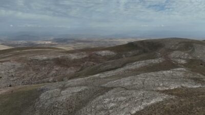 Yozgat’ın Çayıralan ilçesindeki Akdağlar’da yaşayan yaklaşık 60-70 yılkı atı, jandarma