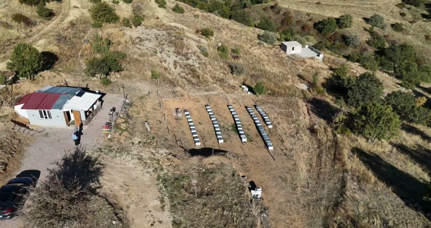 Yozgat’ın yüksek rakımlı, dağlık ve ormanlık yapısı sayesinde arıcılık ve