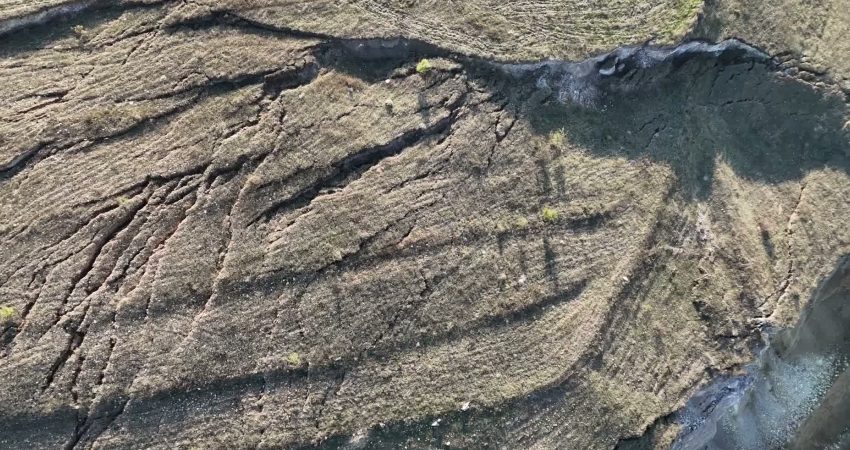 Yozgat Valiliği tarafından Aydıncık ilçesine bağlı Baydiğin Beldesi’nde ekim için