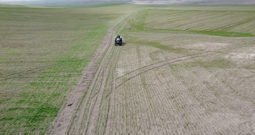 Yozgat’ta tarımda ekim sezonu başladı… Çiftçi Çatalyürek: “Çiftçimiz sezona borçlu girdi” Yozgat’ta, şekerpancarı ve yağlık ayçiçeğinde hasat devam ederken, diğer taraftan